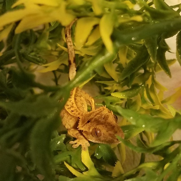 Meet your Posher, Alex - Picture 5 of 6